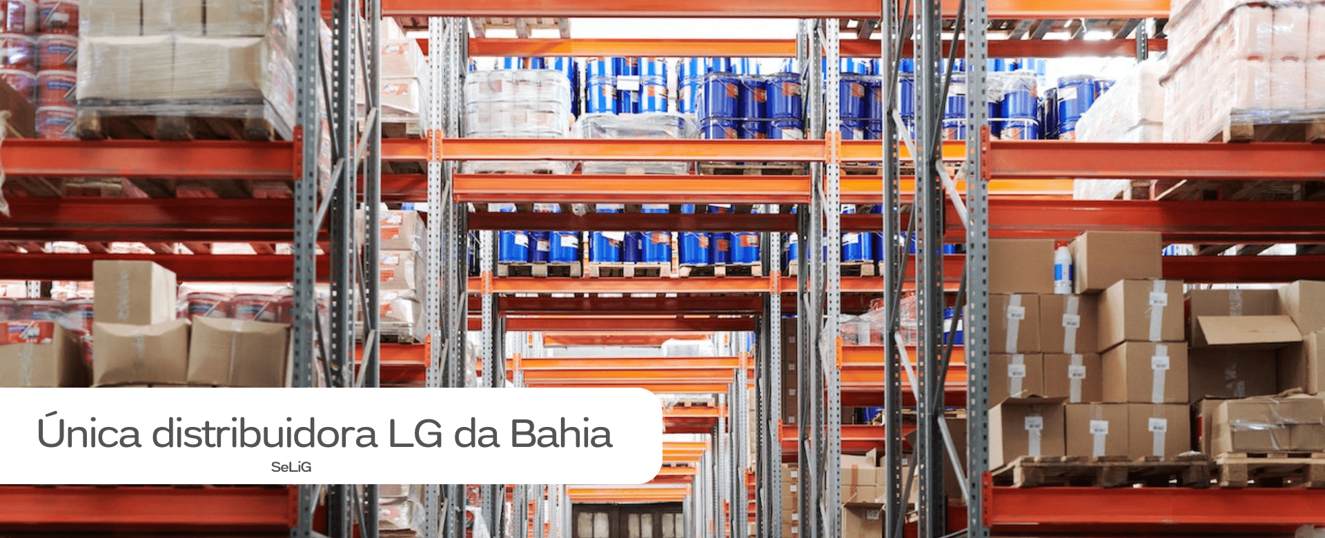 Única distribuidora LG da Bahia